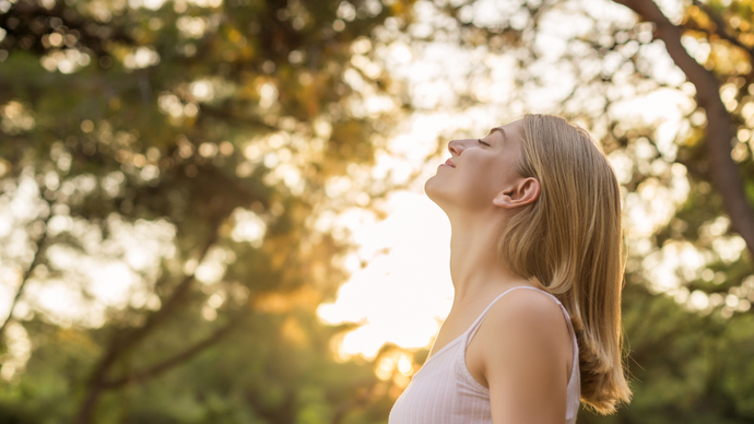 The Power of Breath: Unveiling the Secrets of Mood and Nervous System Regulation