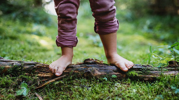 The Power of Grounding: Connecting with Earth for Health and Wellness